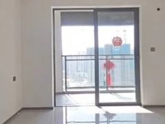 珠海高新区金鼎美的宝龙城 4室3厅3卫出租房源真实图片