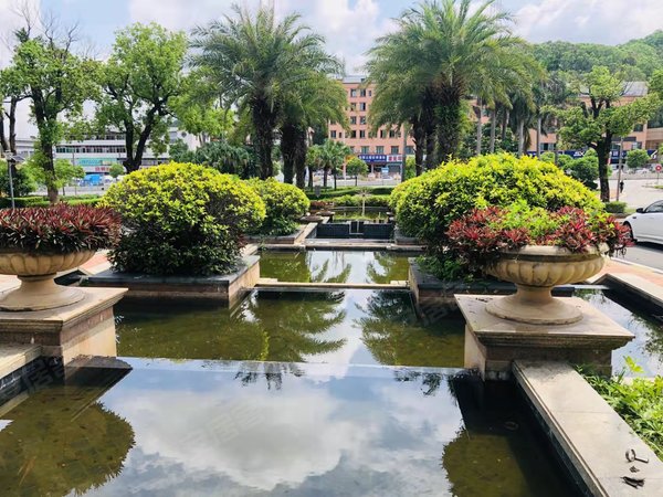 东莞厚街白濠世纪绿洲白豪学校对面 世纪绿洲87平2房2厅1卫 大型社区