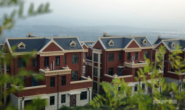 荥阳 万山公园康晖森林溪谷温泉别墅 均价7000看房车接车送