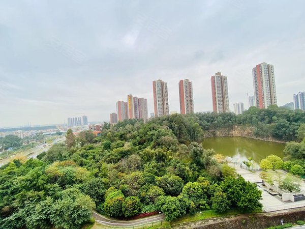 广州增城新塘豪进广场可以养狗 离白江地铁口300米 南北对流 三房两卫