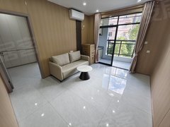 深圳龙岗爱联龙岗中心城 龙城公园爱联天光城 精装修一房一厅拎带阳台包入住出租房源真实图片