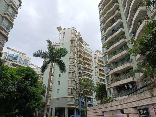 南宁青秀长湖路南湖碧园南湖公园旁南湖碧园 4室2厅2卫 精装修 电梯房