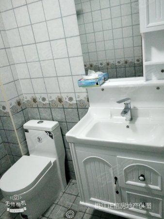 近桃社区2室2厅2卫95.53㎡南北38.8万