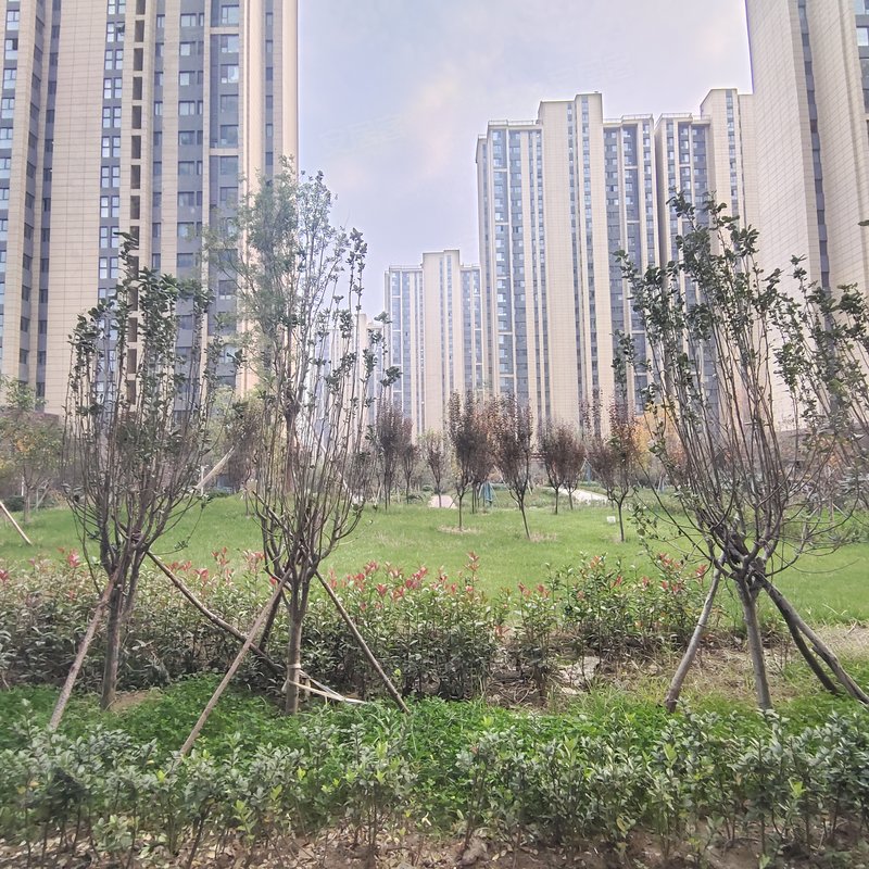 【升龙广场, 升龙广场小区详情,房价走势,房源,业主论坛】- 鹤壁58