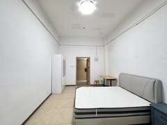 合肥肥西肥西周边桃花潭地铁口 科大讯飞 百大奥莱 阳光电源 堰湖山庄 可月付出租房源真实图片