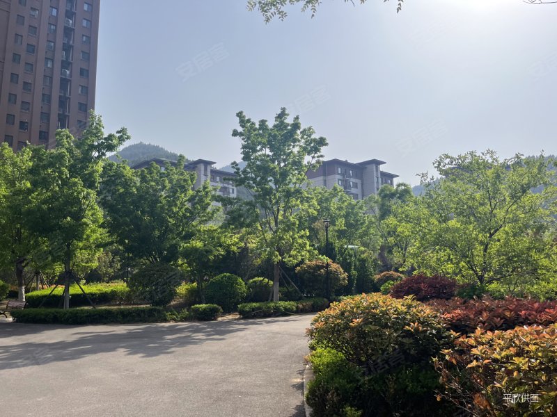 一次未住,非顶底,黄金山水郡(六区)二手房,550万,4室2厅,2卫,200平米