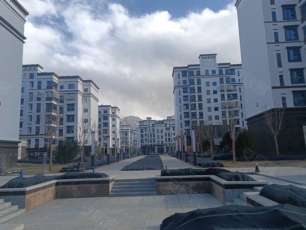 拉萨城关布达拉宫广场城关花园(h区)力泰广场 公寓楼出租 押一付三