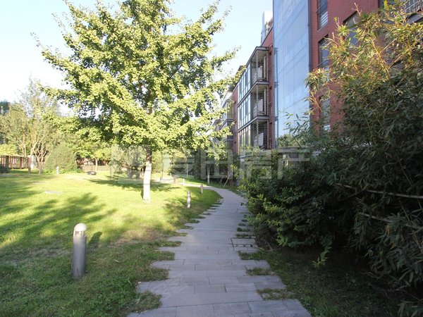 北京朝阳酒仙桥滨河花园滨河花园 南北4居 落地窗 看坝河景观 位置