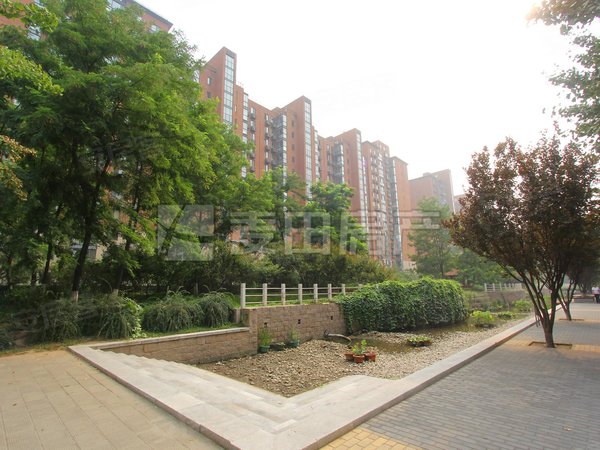 【多图】紫金长安,五棵松租房,万达对面 可接待 紫金长安豪装3居 随时