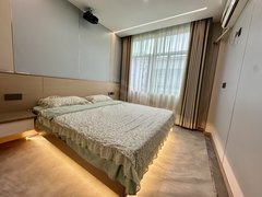 永康西城南龙广场宝龙西站附近  一室一厅 有电梯 智能投影 可月付出租房源真实图片