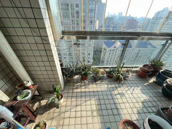 上海徐汇斜土路衡园连体大阳台 品质小区 基础设施完善 居家装修 交通