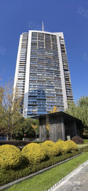 仁恒国际公寓 高档精装三房 奥体东 大平层 豪华欧式入户大厅