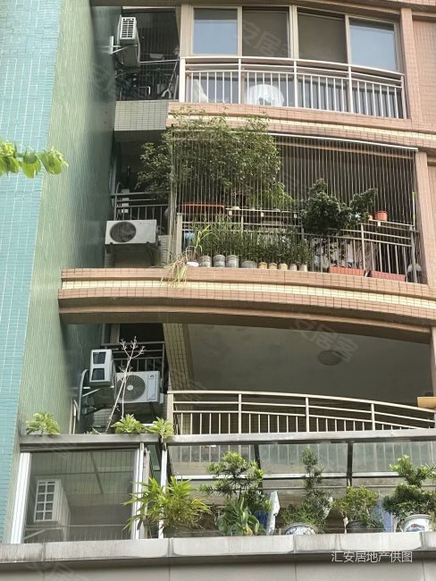 佛山雅居乐花园(d区)4室 奇槎优选 好楼层 采光好 带家私