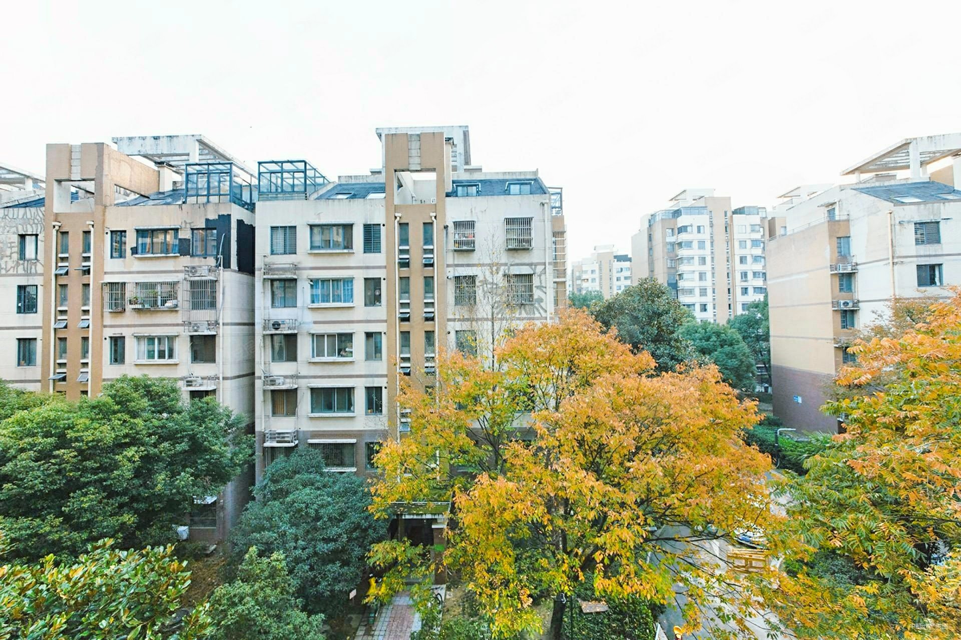 绿地国际花都郁金苑