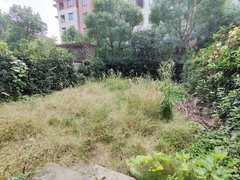 上海青浦朱家角下叠 有车位 前后花园 可办居住证 可长签 环境好出租房源真实图片