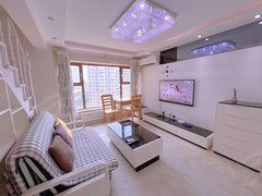 民水民电 精装loft 复式一室一厅 住宅式公寓 层高5.4