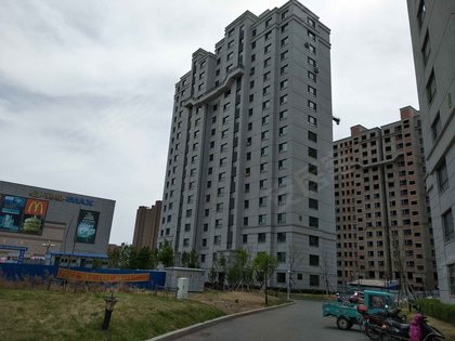 新城雅居b区