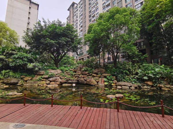 南宁青秀凤岭北荣和大地二组团阳光里南宁租房,双天桃,荣和大地二组团