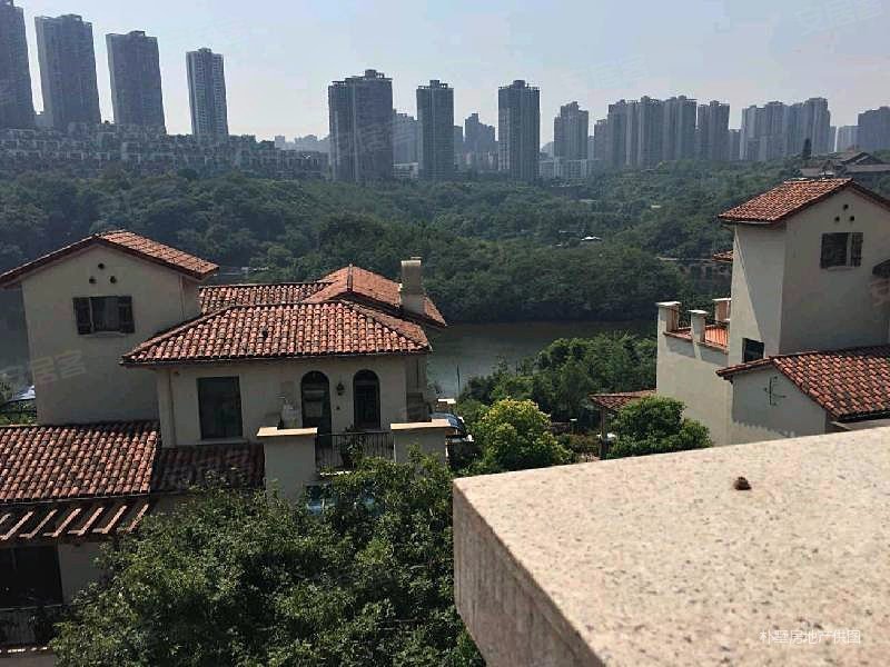 协信彩云湖1号豪装双拼七房业主急售700万