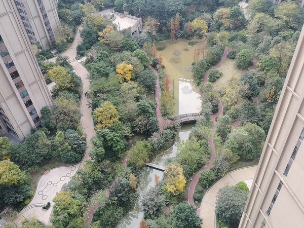 南宁青秀凤岭北美泉1612园林小区 美泉1612 精装1房 配套齐全 拎包