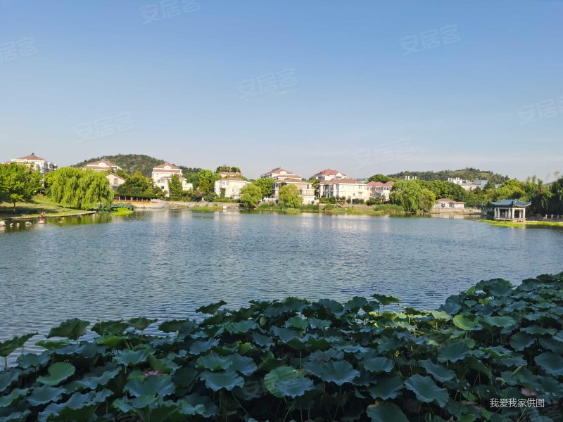 江南文枢苑将军大道99号3室2厅2卫13462平方米