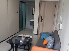 深圳龙华龙华(已实拍)精装修,拎包入住,视野开阔,南北通透尽享奢华出租房源真实图片