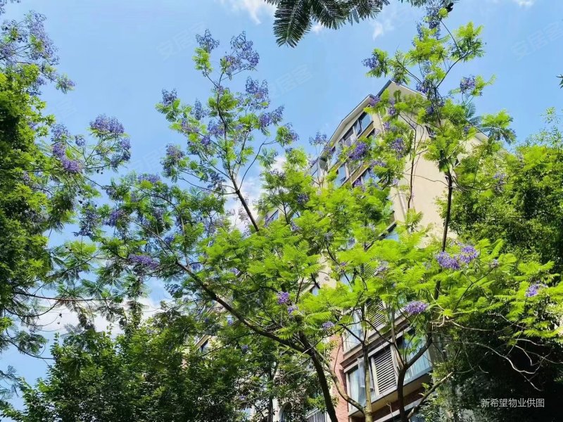 新希望皇冠国际3室2厅2卫117.09㎡南北210万