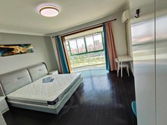 苏州工业园东环实拍图 急租 东环地铁一号线旁 绿城花园朝南主卧次卧 民用水出租房源真实图片