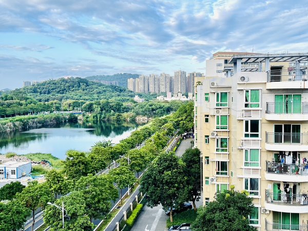 碧海湾鲜有超大一房一厅出阳台,非城中村花园小区配套,宝安租房-深圳