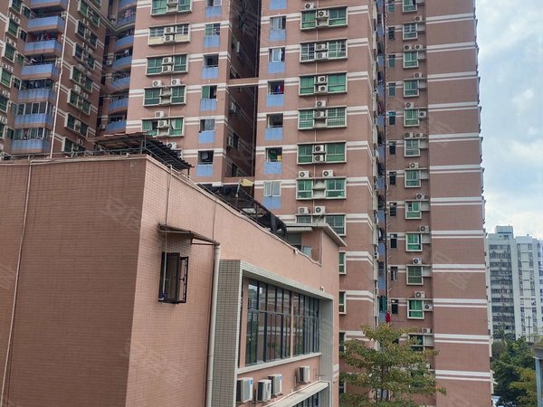 广州荔湾花地湾广船鹤园小区房源采光好,南北通透,业主诚意出出租房源