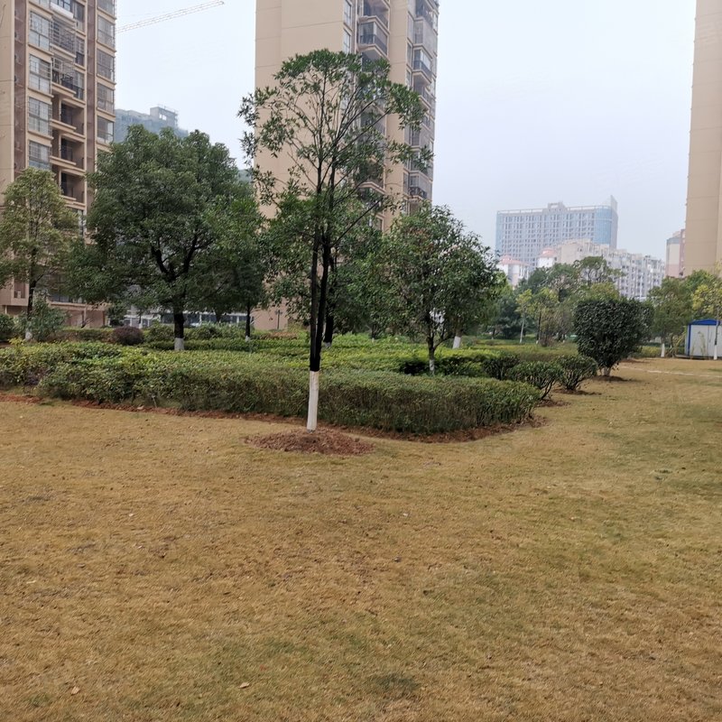 【水韵嘉城c区, 水韵嘉城c区小区详情,房价走势,房源,业主论坛】