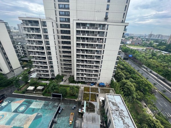 杭州上城九堡科技园金地玖峯汇金地玖峯汇近地铁!出租房源真实图片