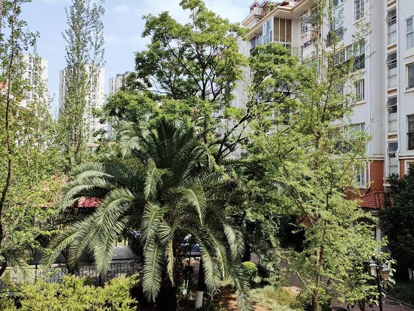 直租月付无中介金盾花园独立阳台广福城同仁医院南悦城