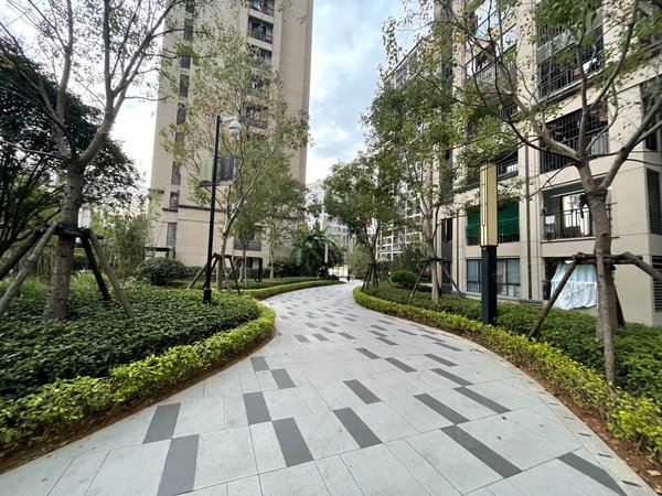 福州晋安王庄建发悦府建发悦府 1室1厅1卫 南北通透 电梯房 44平出租