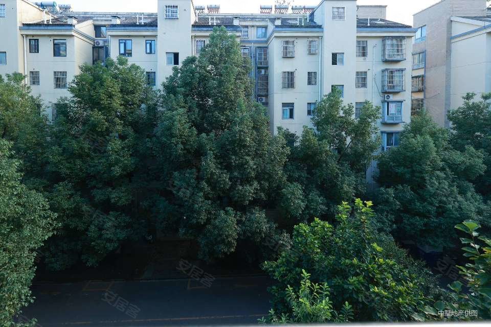 天一家园2室2厅1卫89.2㎡南北128万