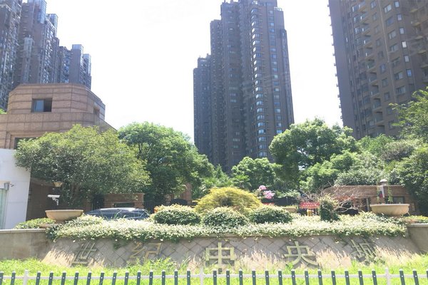 世纪中央城(青山湖)