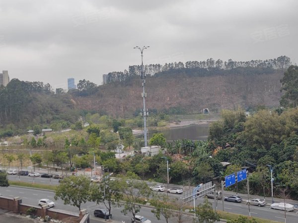 叠翠峰二期 精装三房 南向 中高层 近学校 家私齐全,南沙租房-广州58