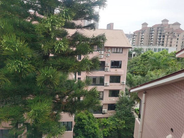 深圳罗湖银湖金碧苑地铁物业六号线和九号线带观景大阳台三房出租房源