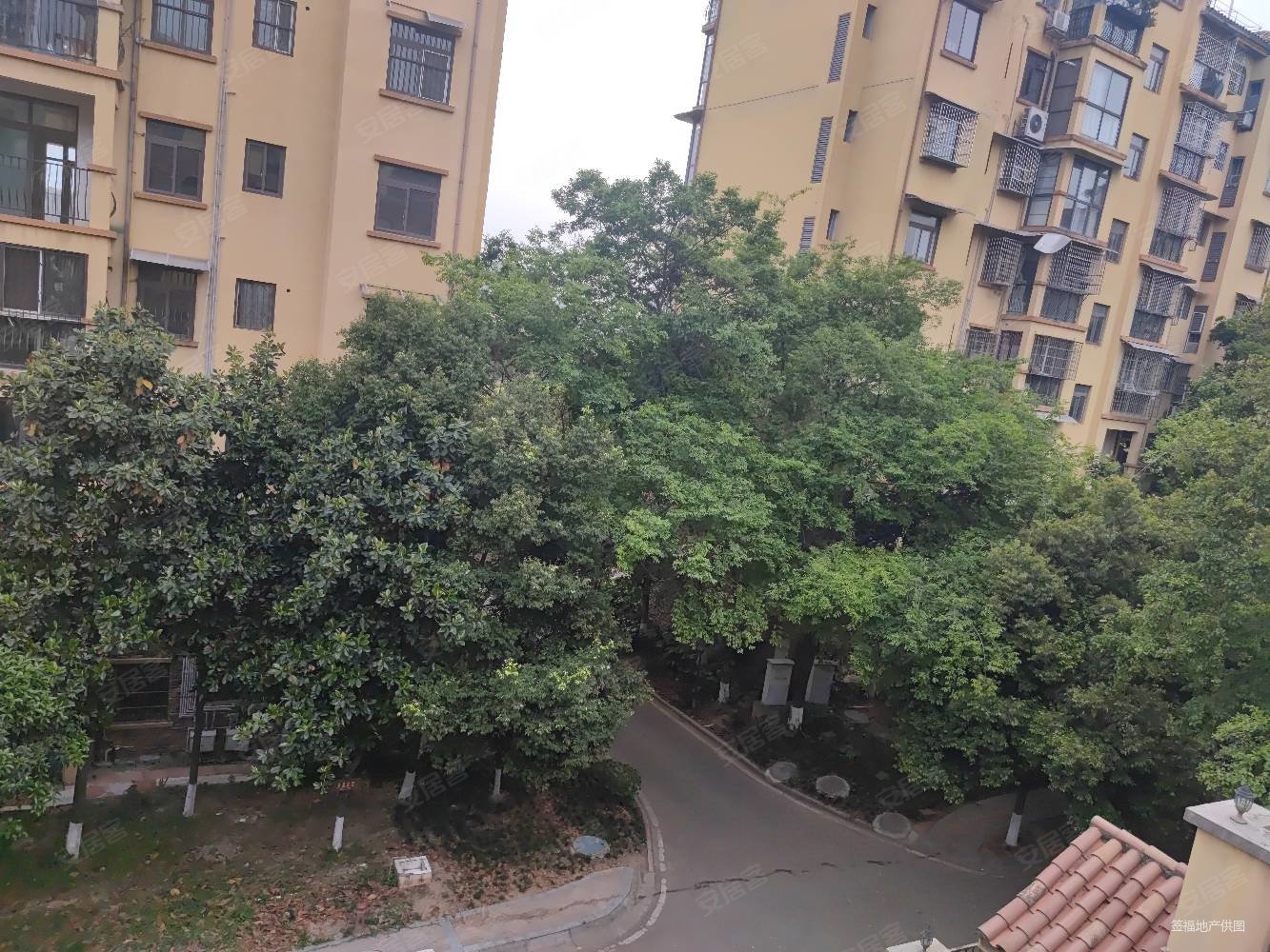 半山蓝湾丨带200平超大平台丨三连跃丨业主着急用钱急售