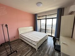 蚌埠禹会绿地世纪城来来来西绿地的过来了 单间出租朝南大阳台环境好空间大拎包入住出租房源真实图片