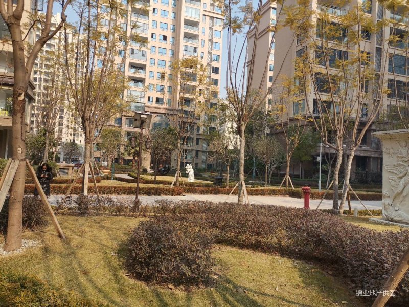 高铁大道旁边树高翡丽庄园电梯套四超大客厅三阳台视野开阔