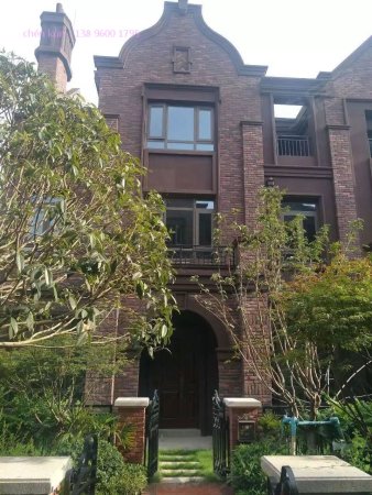 国博城端户现房别墅 送大花园双车位 地下室全采光 带巴蜀指标