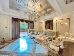 武汉黄陂盘龙城盘龙城别墅 居家直播电商 接待 带院子车位 可养宠物ban公出租房源真实图片