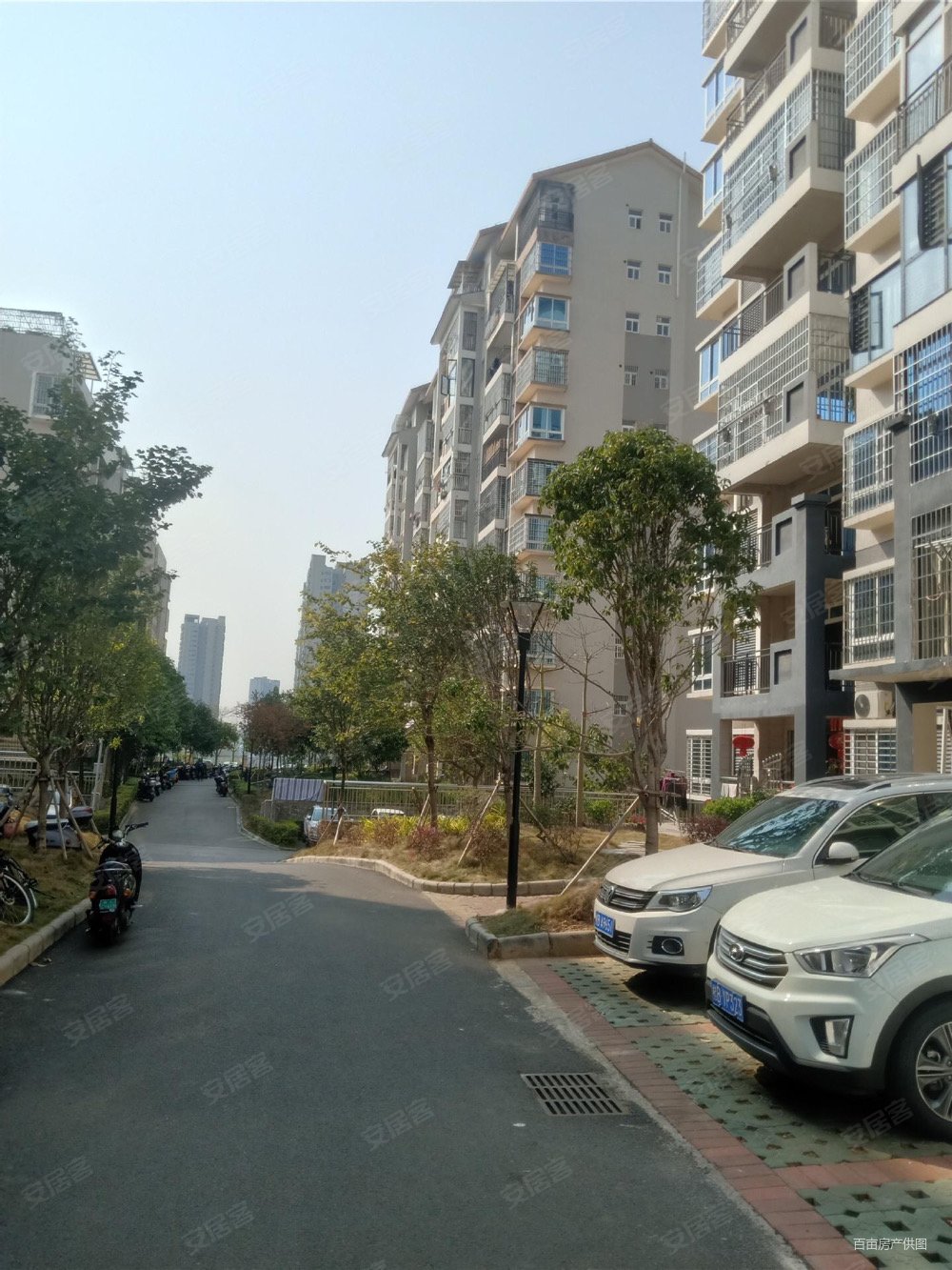 碧桂园十里江弯旁东岸盛世花园精装大3房2厅2卫