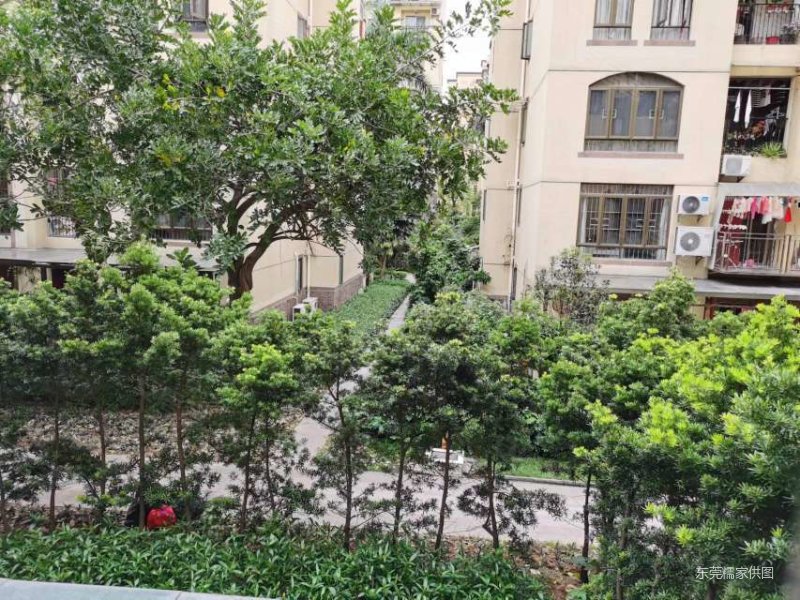 东莞房产网>东莞二手房>万江二手房>客运总站二手房>深业欧景城>800