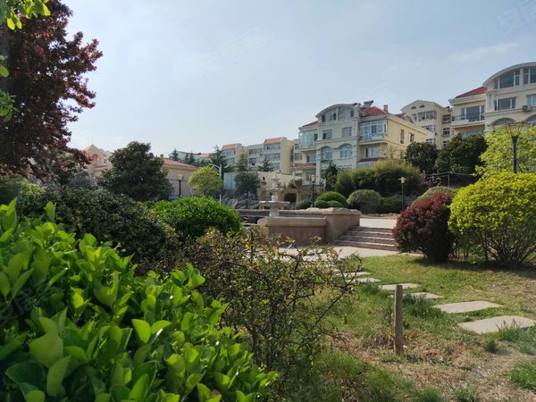 青岛崂山崂山区政府金岭新村金岭新村 精装套一 家具家电齐全 总价低