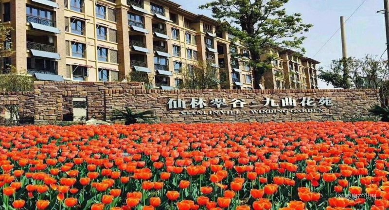 拥有新湖仙林翠谷,尽可享受优渥生活!,新湖仙林翠谷二手房,366万,5室2