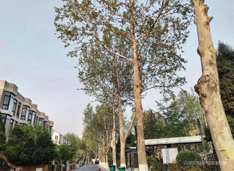 一栋洋房4室2厅3卫175㎡南北800万