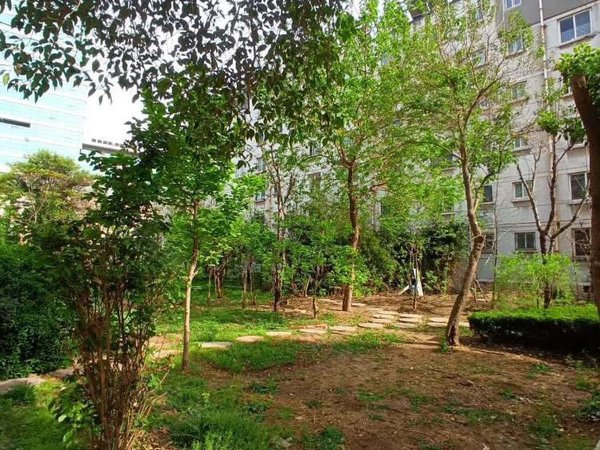 淄博张店中润华侨城盛世名苑盛世名苑 精装实图 三室两厅 有钥匙随时