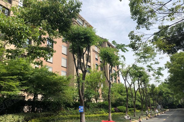 好不好_中介房产经纪人:蒋玲对朗诗绿岛(公寓住宅)的评价-上海安居客